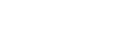 Radioidol Logo